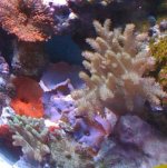 IMG_0540.JPG