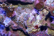 12-19-10 022.jpg