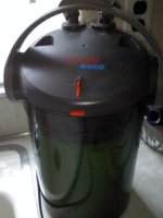 ecco2233.jpg