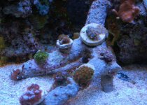 DSC_0018.JPG