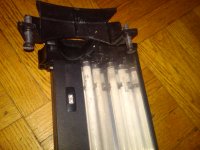 IMG00392-20101019-0118.jpg