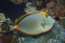 IMG_7556.jpg