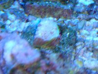 DSC02753.JPG