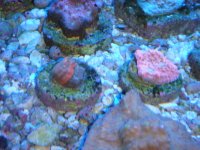 DSC02768.JPG