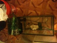 IMG_0343.jpg