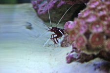 IMG_2833.jpg