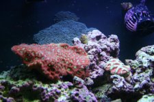 IMG_2807.jpg