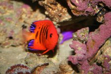 IMG_2878.jpg