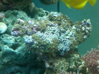 IMG00064-20101117-1321.jpg