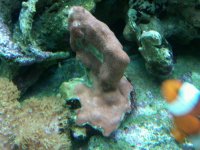 IMG00066-20101117-1322.jpg