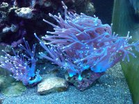 IMG00117-20100912-1743.jpg