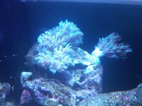 IMG00249-20100602-2000.jpg