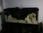 2011-02-03 21.34.09.jpg