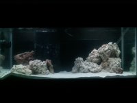 2011-02-08 19.38.51.jpg