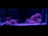 2011-02-08 19.39.17.jpg