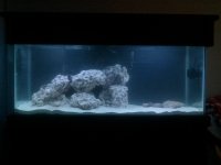 2011-02-09 23.34.46.jpg