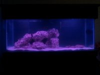 2011-02-09 23.35.06.jpg