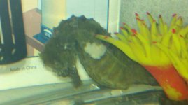 2011-02-10_23-34-29_179.jpg
