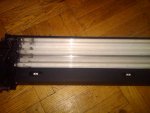 IMG00391-20101019-0118.jpg