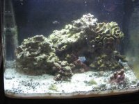 IMG_1753.JPG