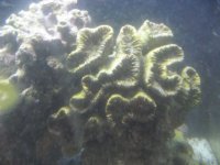 IMG_1743.JPG