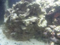 IMG_1744.JPG
