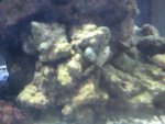 IMG_1675.JPG