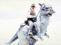 491px-Luketauntaun.jpg