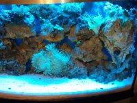 2010-09-26 07.56.38.jpg