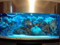 2010-09-26 07.57.09.jpg