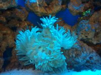 2010-09-26 07.57.36.jpg