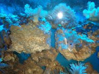 2010-09-26 07.58.15.jpg