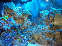 2010-09-26 07.58.27.jpg