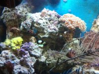 2010-10-01 14.23.19.jpg