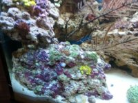 2010-10-01 14.23.35.jpg