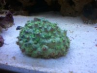 2010-10-01 14.23.49.jpg