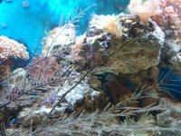 2010-10-01 14.24.01.jpg