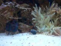 2010-10-01 14.24.16.jpg