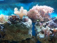 2010-10-01 14.24.30.jpg