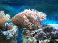 2010-10-01 14.24.51.jpg