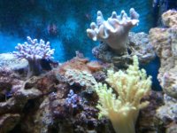 2010-10-01 14.25.03.jpg