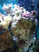 2010-10-01 14.26.20.jpg