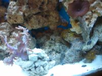 2010-10-01 14.26.34.jpg