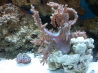 2010-10-01 14.26.49.jpg