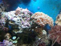 2010-10-01 14.27.25.jpg