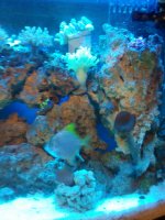 2010-10-04 22.27.50.jpg