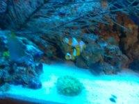 2010-10-04 22.28.26.jpg