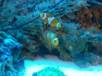 2010-10-04 22.28.42.jpg