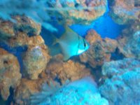 2010-10-04 22.29.21.jpg