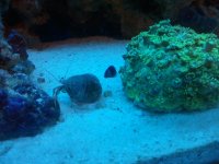 2010-10-04 22.29.43.jpg